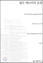 젊은 베르터의 슬픔 - 지식을만드는지식 소설선집